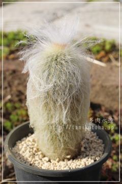 Vy lTCY6cm|bg
