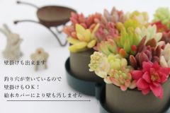 IAVXn[g̑蕨