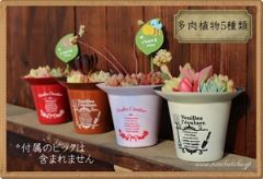 񂹐A|bgPP[X123JS