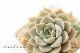 }[Kbgbs kTCY8cm|bg