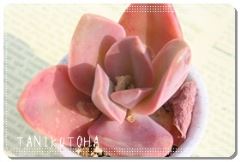 H kTCY8cm|bg