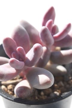 K][ lTCY6cm|bg