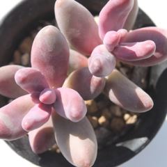 K][ lTCY6cm|bg