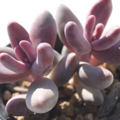 K][ lTCY6cm|bg