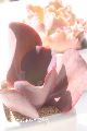 Vo[Ibh JbgcMTCY6cm|bg