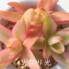 ΍Ղ kTCY8cm|bg