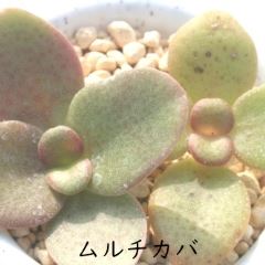`Jo LTCY8cm|bg