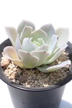 VX lTCY6cm|bg