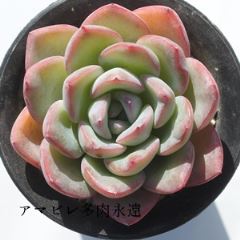A}r MTCY6cm|bg