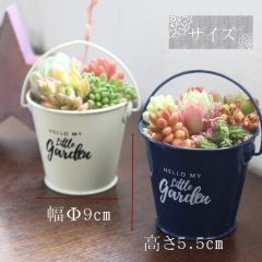 ~joPc̊񂹐AMtg