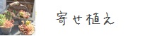 񂹐A